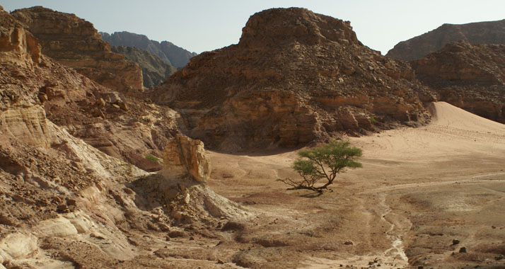 Auf der Sinai-Halbinsel herrscht ein Machtvakuum.