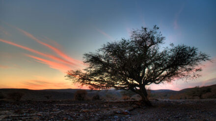 Noch ist die Natur unberührt: "Lonely Planet" rät zu Reisen in den Negev.