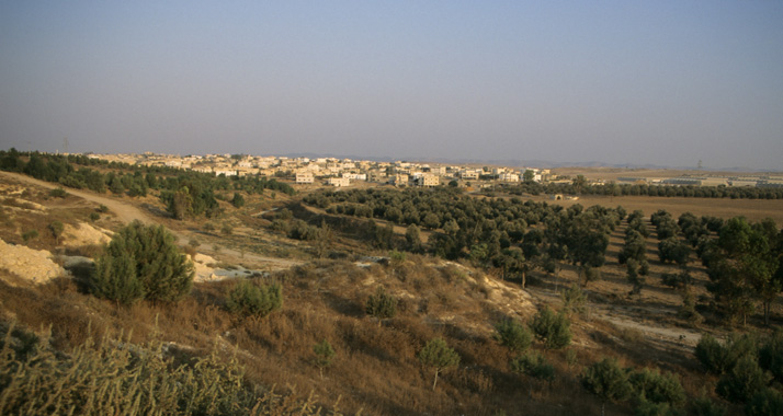 Die israelische Regierung möchte Beduinen in offizielle Städte umsiedeln. (Im Bild: Rahat, eine von Israel anerkannte Beduinenstadt.)