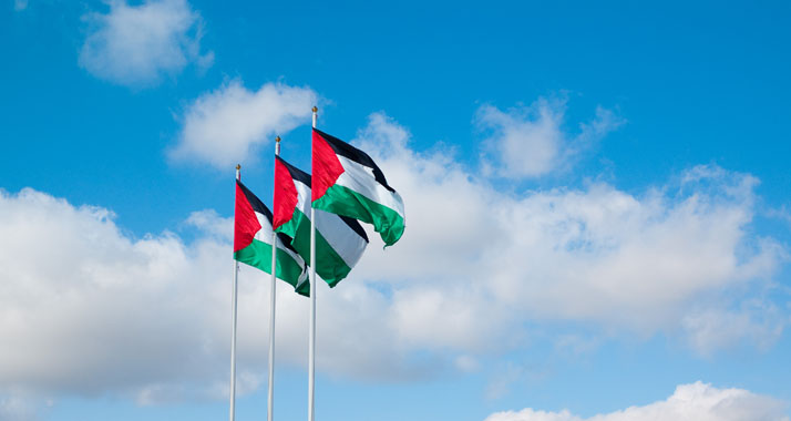 NEWPal will junge Palästinenser zum Engagenemt für einen palästinensischen Staat ermutigen.
