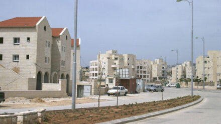 Zwischen der Siedlung Ma'aleh Adumim und Jerusalem hat Netanjahu einen Bauplanungsstopp angeordnet.