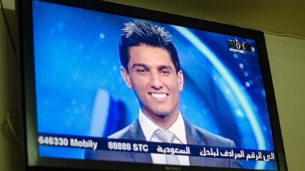 Der Palästinenser Mohammed Assaf wurde vergangenes Jahr zum "Arab Idol" gekürt.