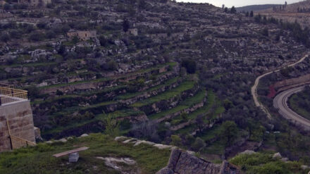 Neu auf der Liste des UNESCO-Welterbes: Die Terrassen von Battir im Westjordanland ...