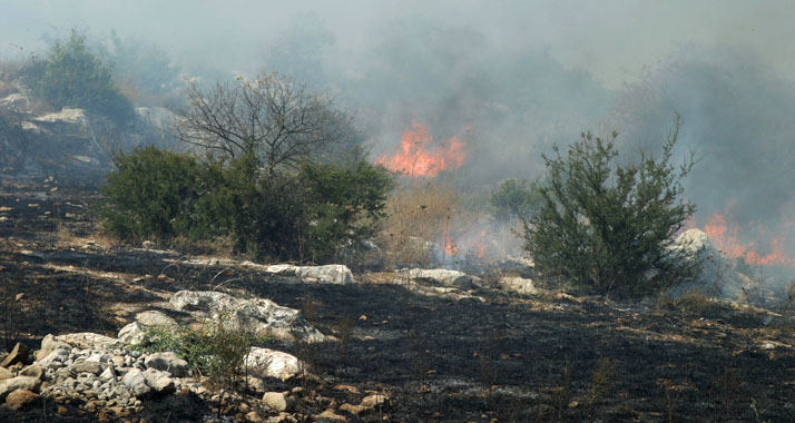Heftige Feuer haben bei Jerusalem fünf Häuser komplett zerstört.