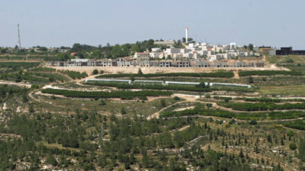 Blick auf den Siedlungsblock Gusch Etzion