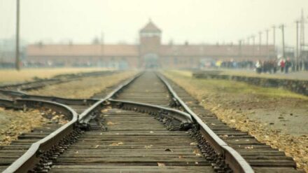 Erinnerung, die nicht verblassen darf: Zum Holocaust-Gedenktag mahnen Politiker, Auschwitz nicht zu vergessen.