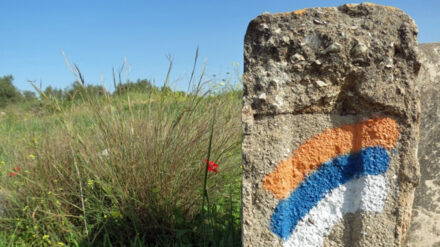 Das Markierungszeichen des Fernwanderweges „Israel National Trail“