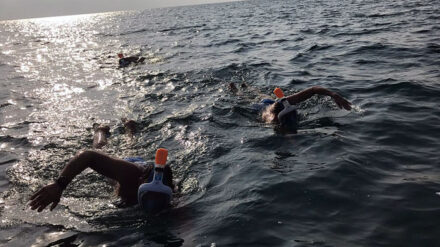 Die Schwimmer hatten sich mit Schnorcheln und Schutzmasken ausgerüstet