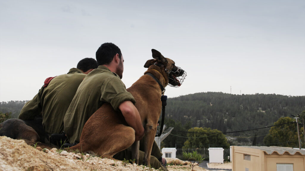 Israelische Militäreinheit: Die Freundschaft zwischen Mensch und Hund