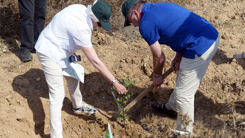 Nicht nur an TU BiSchvat werden in Israel viele Bäume gepflanzt – auch Ausländer beteiligen sich daran