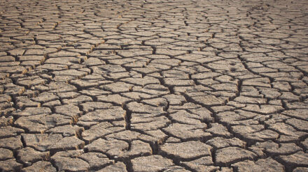 Meteorologen rechnen infolge eines Klimawandels mit noch mehr Trockenheit in Israel