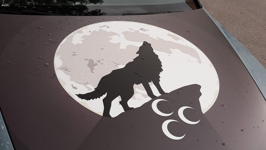 Ein Wolf und drei Halbmonde: Die Symbole der „Grauen Wölfe“ auf einer Motorhaube